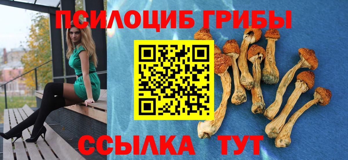 Галлюциногенные грибы Magic Shrooms Пушкино