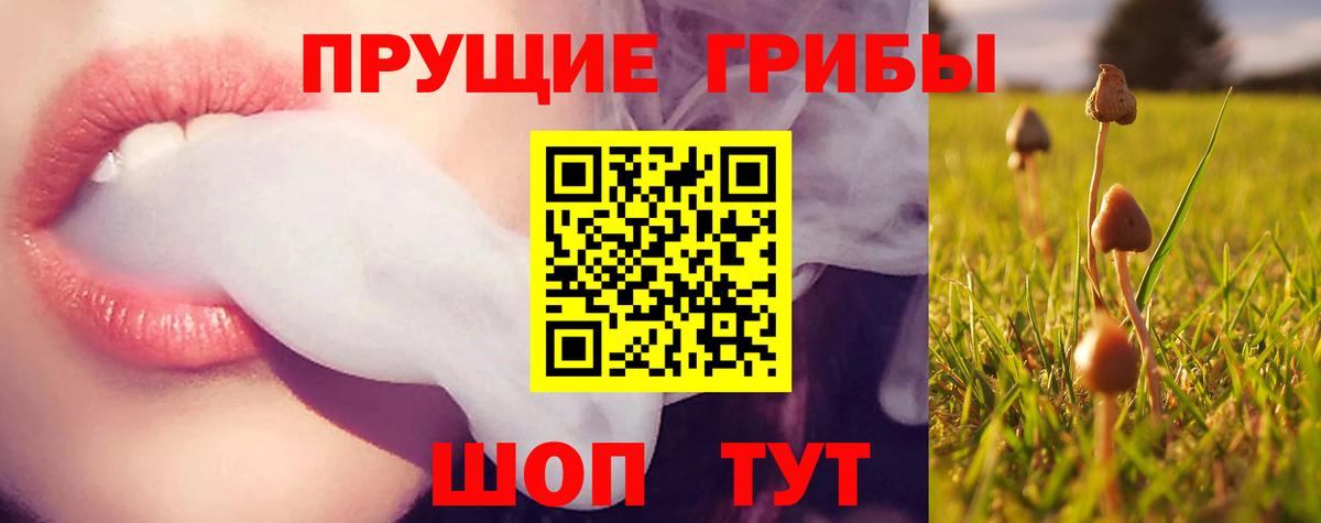 Пушкино  Галлюциногенные грибы Psilocybe  Псилоцибиновые грибы ЛСД  Вход с VPN 