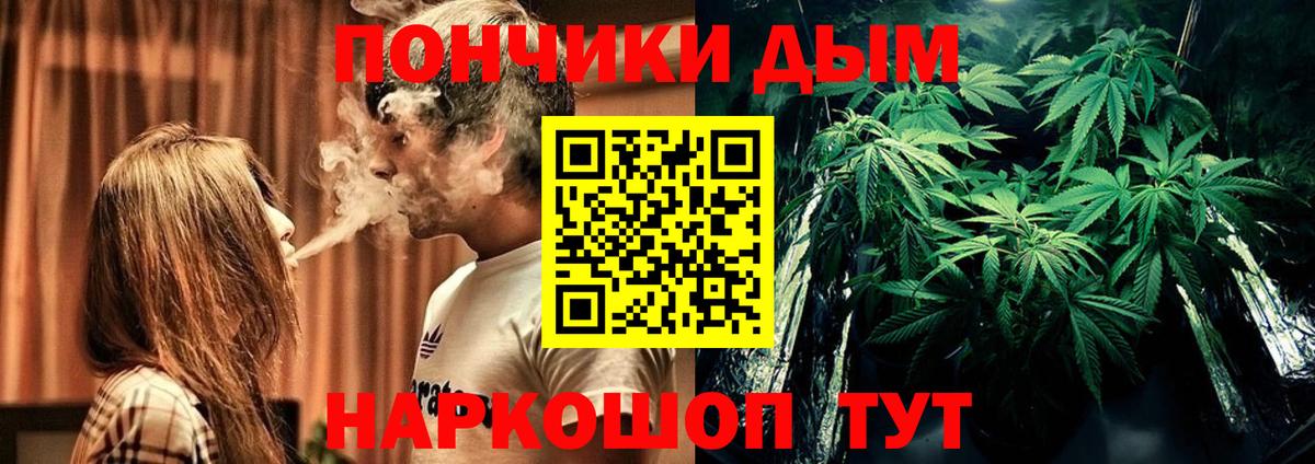 Бошки марихуана SATIVA & INDICA Пушкино