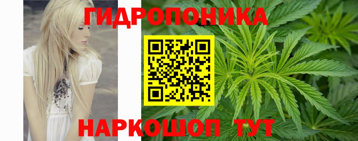 Конопля ГИДРОПОН  МАРИХУАНА VHQ  Марихуана семена  Пушкино  Вход с VPN 